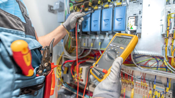 Best Electric Panel Repair  in Midlothian, IL